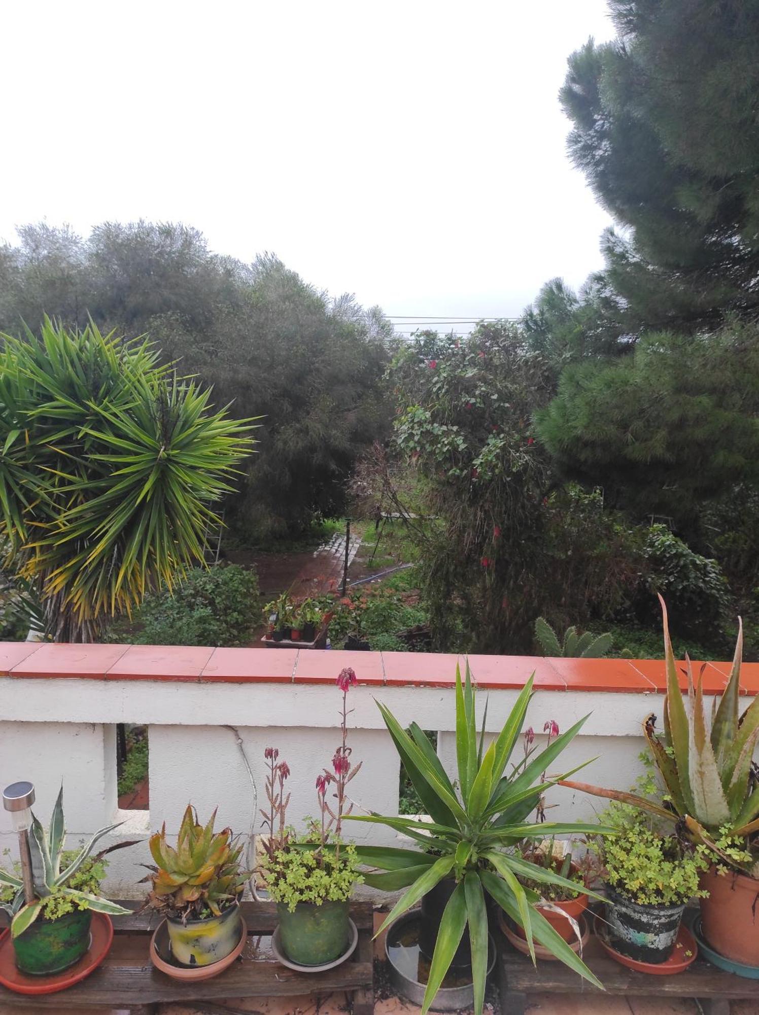 Casa Da Cabana Budens Εξωτερικό φωτογραφία